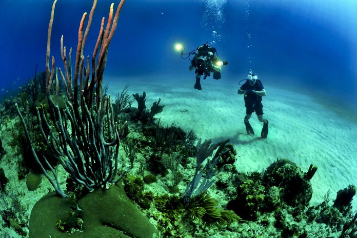 Los 10 mejores destinos para bucear buceo