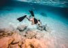 Consejos y lugares para practicar buceo en Costa Rica buceo costa rica