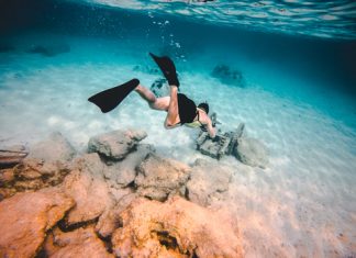 Consejos y lugares para practicar buceo en Costa Rica buceo costa rica