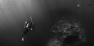 Bucear en Aqaba, un paraíso submarino en Jordania buceo en aqaba jordania