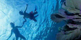 Bucear en Zanzíbar, Tanzania