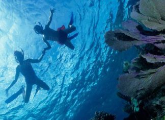 Bucear en Zanzíbar, Tanzania