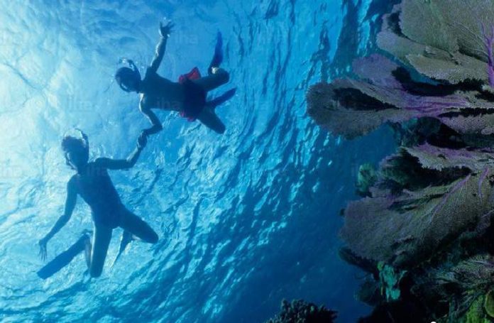 Bucear en Zanzíbar, Tanzania