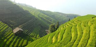 Descubre un paraíso rural y urbano en tu viaje a China paisaje rural china