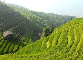 Descubre un paraíso rural y urbano en tu viaje a China paisaje rural china