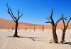 10 paisajes espectaculares del mundo deadvlei sossusvlei namibia