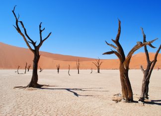 10 paisajes espectaculares del mundo deadvlei sossusvlei namibia