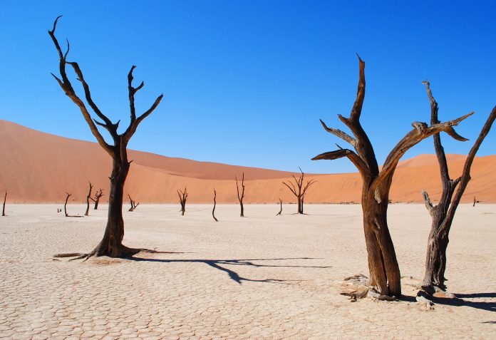 10 paisajes espectaculares del mundo deadvlei sossusvlei namibia