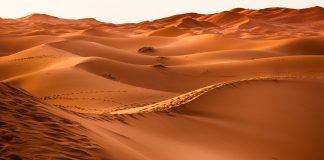 Los 5 mejores viajes al desierto viaje al desierto