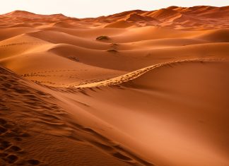 Los 5 mejores viajes al desierto viaje al desierto