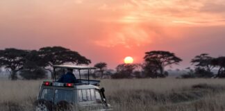 ¿Por qué contratar tu viaje con una agencia de viajes?