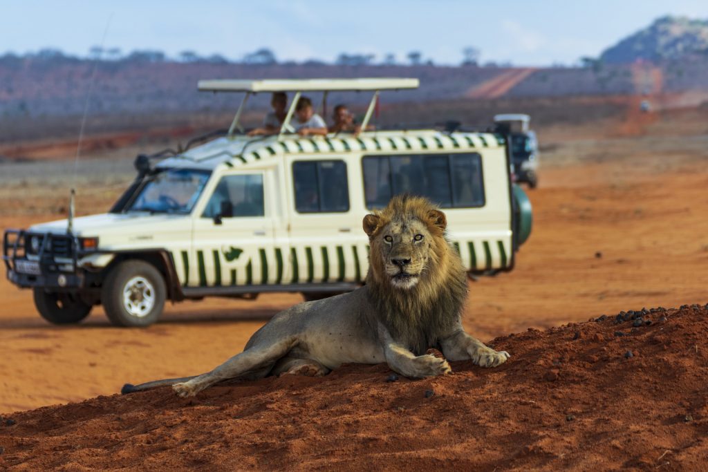jeep que llevar a un safari 