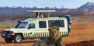 Preparando la maleta: Qué llevar a un safari