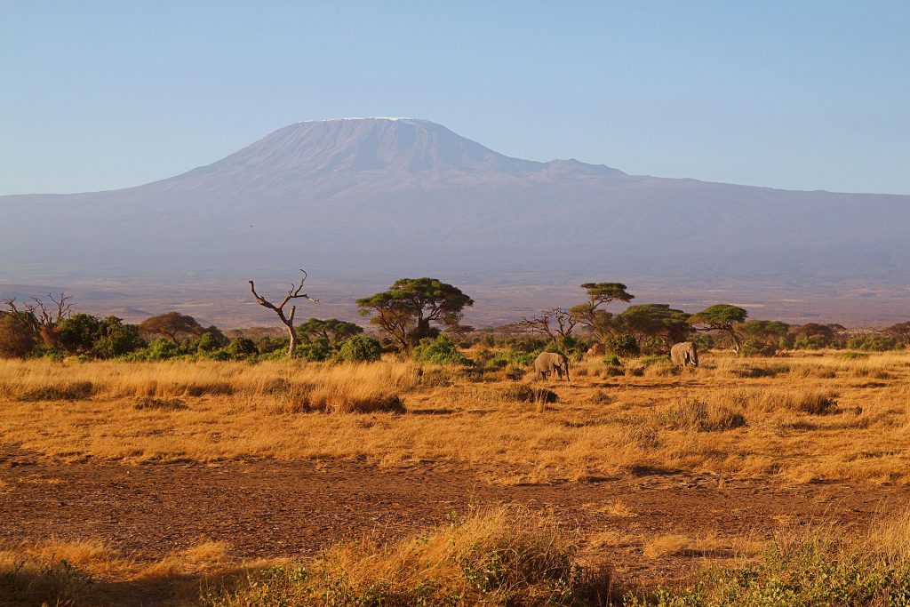 kilimanjaro