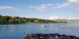 Pasear por los viñedos del lago Leman, Suiza Lago leman suiza