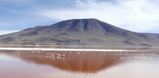 Salar de Uyuni y Laguna Colorada en Bolivia, dos lugares mágicos Laguna colorada uyuni