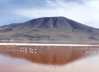 Salar de Uyuni y Laguna Colorada en Bolivia, dos lugares mágicos Laguna colorada uyuni