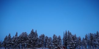 Viajes a Suecia siguiendo la huella de los escritores suecos Laponia Sueca