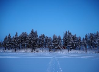 Viajes a Suecia siguiendo la huella de los escritores suecos Laponia Sueca
