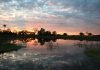 Safari por el delta del Okavango, Botswana Safari delta okavango