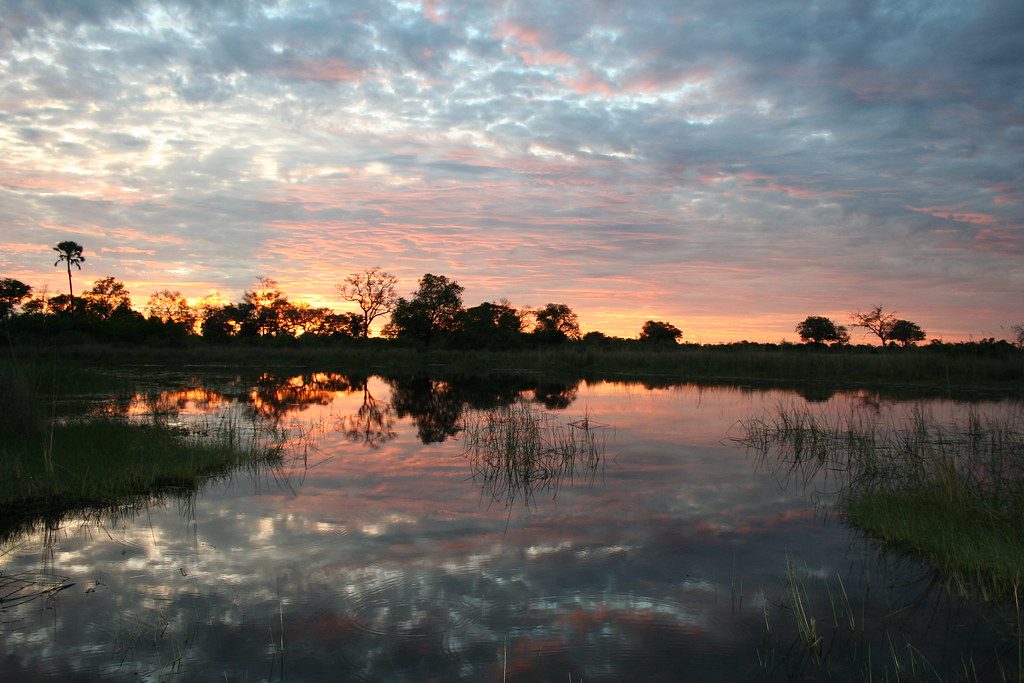 Safari delta okavango