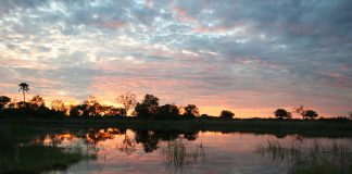 Safari por el delta del Okavango, Botswana Safari delta okavango