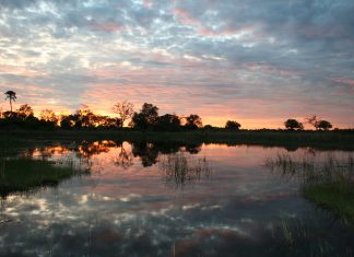 Safari por el delta del Okavango, Botswana Safari delta okavango
