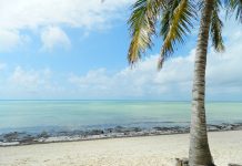 ¿Cuánto cuesta un viaje a Tanzania? playas de kenia