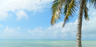 Sol y relax en las mejores playas de Kenia playas de kenia