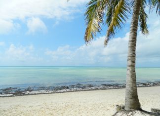 ¿Cuánto cuesta un viaje a Tanzania? playas de kenia