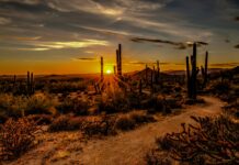 ¿Por qué elegir un viaje a la Ruta 66 en grupo?