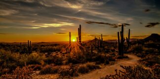 ¿Por qué elegir un viaje a la Ruta 66 en grupo?