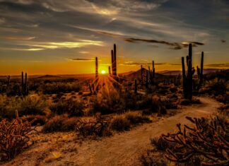 ¿Por qué elegir un viaje a la Ruta 66 en grupo?