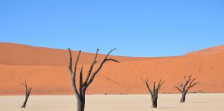 Sossusvlei, un salar en el desierto de Namibia desierto de sossusvlei