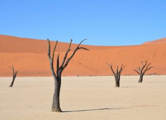 Sossusvlei, un salar en el desierto de Namibia desierto de sossusvlei