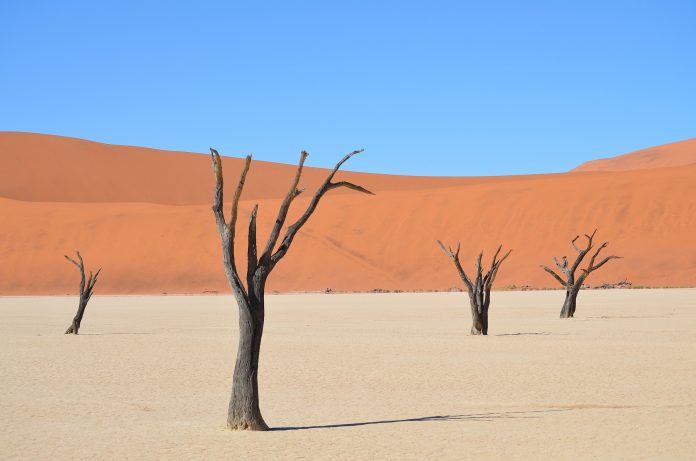 Sossusvlei, un salar en el desierto de Namibia desierto de sossusvlei