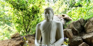 ¿Cómo son los viajes a Sri Lanka y Maldivas en grupo? viajes a sri lanka