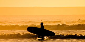 Surfear en Hawaii a fin de año mejores playas para surfear