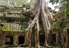 Ta Prohm en los templos de Angkor en Camboya ta prohm angkor