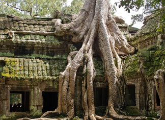 Ta Prohm en los templos de Angkor en Camboya ta prohm angkor
