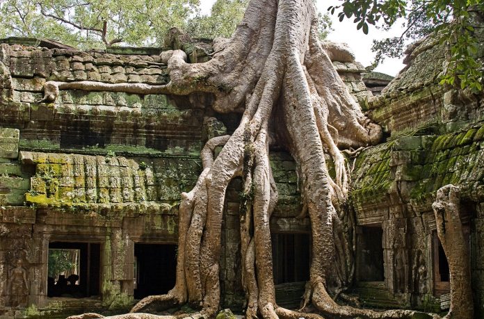 Ta Prohm en los templos de Angkor en Camboya ta prohm angkor