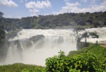 Viaje en grupo a Uganda: relato de un viaje espectacular
