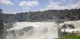 Viaje en grupo a Uganda: relato de un viaje espectacular