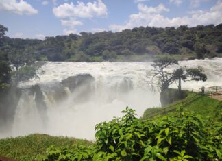 Viaje en grupo a Uganda: relato de un viaje espectacular