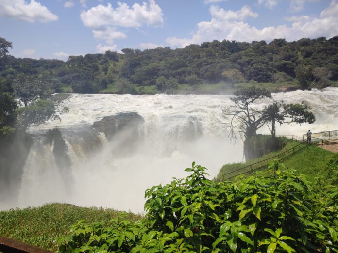 Viaje en grupo a Uganda: relato de un viaje espectacular