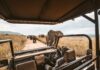 Qué llevar a un viaje de safari en África
