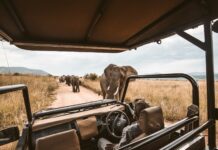 Qué llevar a un viaje de safari en África