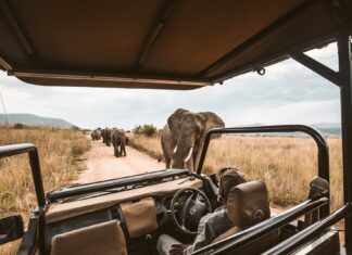 Qué llevar a un viaje de safari en África