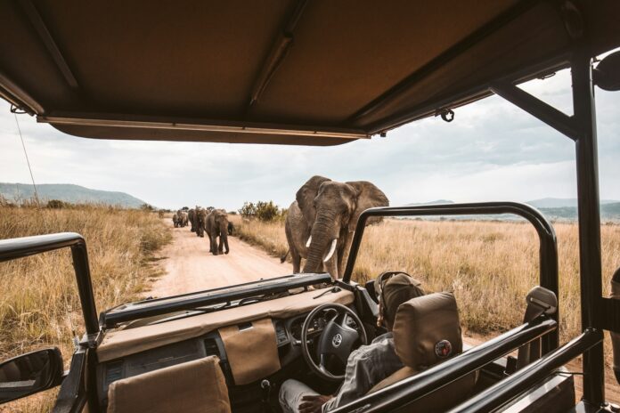 Qué llevar a un viaje de safari en África