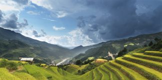 Viajes a Vietnam con guía en español vietnam con guía en español